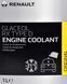 Готовий антифриз Renault / Dacia Glaceol RX type D зелений -21 &deg;C 7711428133 фото 2
